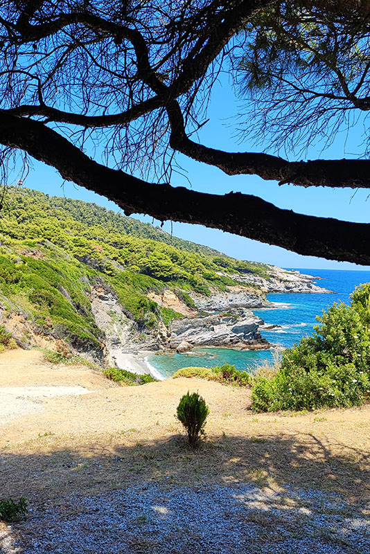 Coastal view from the road on Skopelos island
