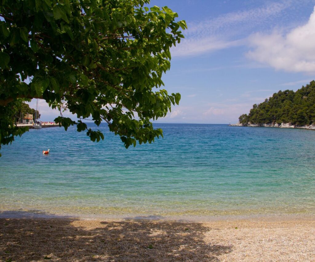 Beach on Skopelos with turquoise water and pine trees