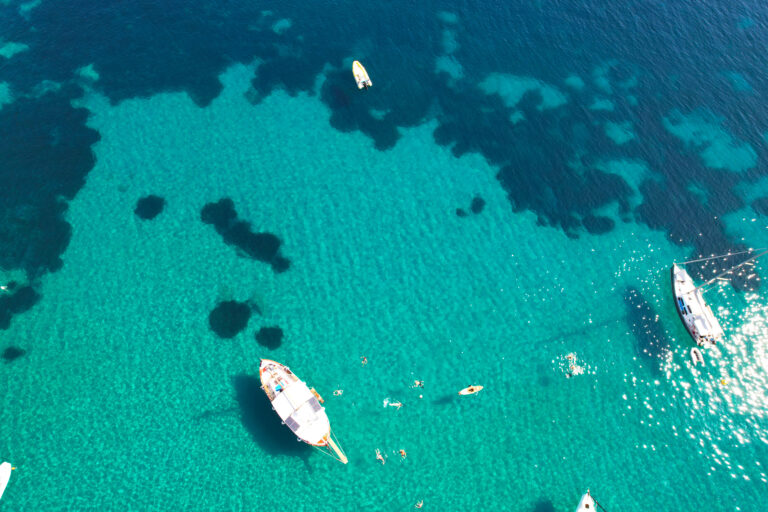 Turquoise sea and pine trees on Skopelos island, Sporades